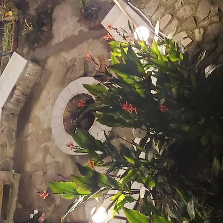 Kasauli Cascade A Cheerfull 4 Bedroom Challet Exterior foto