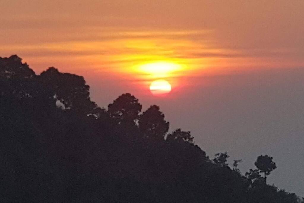 Kasauli Cascade A Cheerfull 4 Bedroom Challet Exterior foto